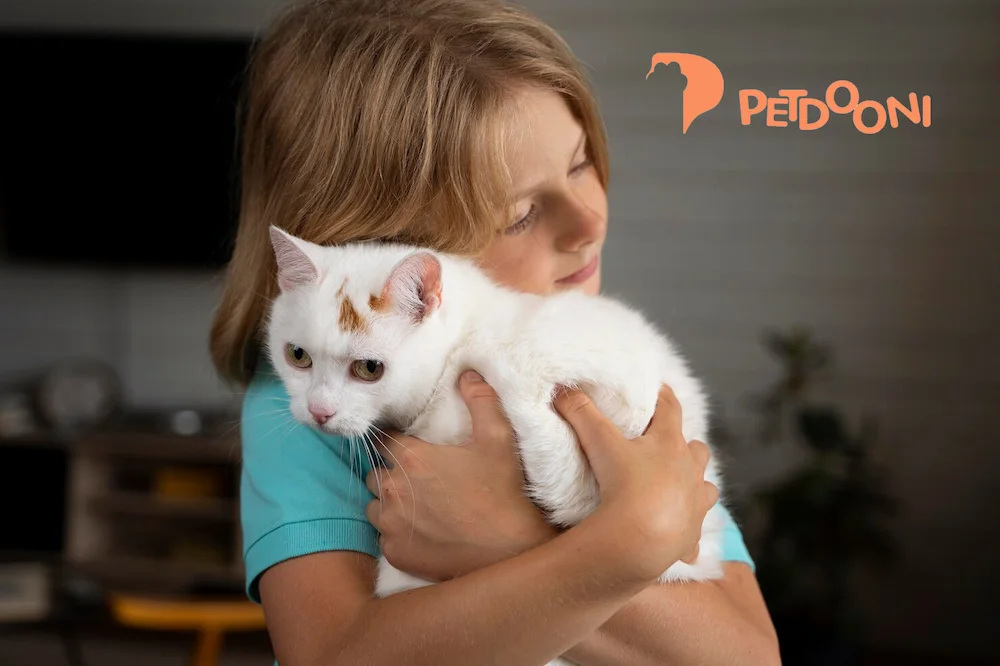 راهنمای تغذیه گربه باردار | غذاهای مفید برای گربه باردار در پت‌شاپ آنلاین پتدونی 1404